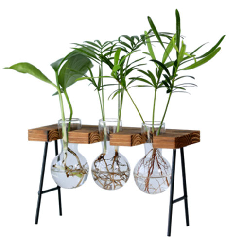 Propagation Stations Desktop Plant Terrarium, Glass Planter Bulb Vase with Wooden Stand - Air Plant Terrarium for Hydroponics Plants Home Garden Office Decoration Propagation Stations Desktop Plant Terrarium, Glass Planter Bulb Vase with Wooden Stand - Air Plant Terrarium for Hydroponics Plants Home Garden Office Decoration