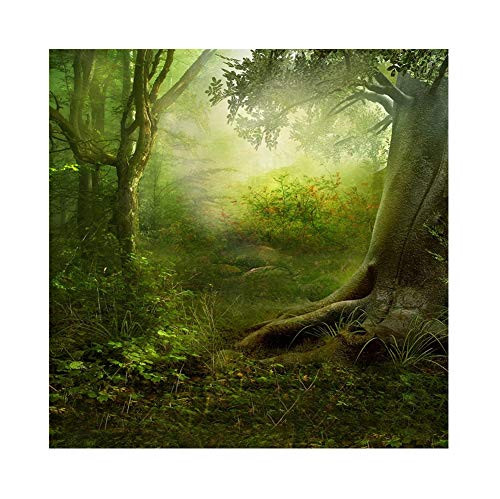 OFILA Fairy Forest Backdrop 5x5ft Magic Trees Girls Princess Portraits Enchanted Theme Birthday Party Background Fantasy Wonderland Photos Baby Shower Shoots Wedding Bride Portraits Video Studio Props