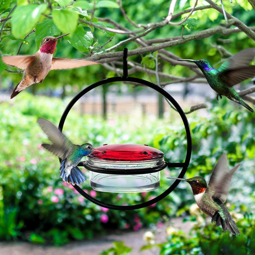 Hummingbirds Feeder, Hummingbird Water Feeder, Hanging Birds Feeder, Outdoor Hanging Clear Hummingbird Feeder, Hummingbird Feeders for Outdoors Hanging, for Garden Yard Patio Decoration Hummingbirds Feeder, Hummingbird Water Feeder, Hanging Birds Feeder, Outdoor Hanging Clear Hummingbird Feeder, Hummingbird Feeders for Outdoors Hanging, for Garden Yard Patio Decoration