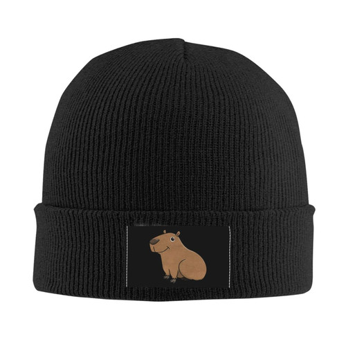 Cute-Capybara-Animal-Funny Gifts Black Beanie Hats Knit Beanie Cap Winter Hat for Men Women