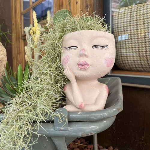 THESHY 6.6in Head Planter Face Planters Pots, Unique Planters for Indoor Plants with Drainage Hole,Resin Face Pots for Plants,Cute Lady Face Flower Pot Succulent Planter for Indoor Outdoor Use THESHY 6.6in Head Planter Face Planters Pots, Unique Planters for Indoor Plants with Drainage Hole,Resin Face Pots for Plants,Cute Lady Face Flower Pot Succulent Planter for Indoor Outdoor Use