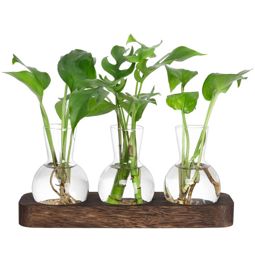 YIBOT Desktop Plants Propagation Stations Retro Plant Terrarium with Wooden Tray Bulb Flower Vase Container Perfect for Propagating Hydroponic Plants Home Office Decor YIBOT Desktop Plants Propagation Stations Retro Plant Terrarium with Wooden Tray Bulb Flower Vase Container Perfect for Propagating Hydroponic Plants Home Office Decor