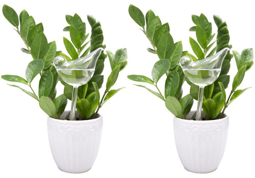 Mkono Plant Self Watering Globes Glass Water Bulbs for Planter Insert, Bird Shape Self Watering Devices Automatic Plant Waterer Spikes for Indoor Outdoor Plants, Gifts for Plant Lovers, 2 Pack Mkono Plant Self Watering Globes Glass Water Bulbs for Planter Insert, Bird Shape Self Watering Devices Automatic Plant Waterer Spikes for Indoor Outdoor Plants, Gifts for Plant Lovers, 2 Pack