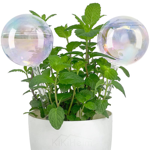 KiKiHeim 2Pcs Plant Watering Devices, Iridescent Self Watering Globes, Hand Blown Automatic Plant Waterer, Glass Watering Bulbs for Indoor Plants KiKiHeim 2Pcs Plant Watering Devices, Iridescent Self Watering Globes, Hand Blown Automatic Plant Waterer, Glass Watering Bulbs for Indoor Plants