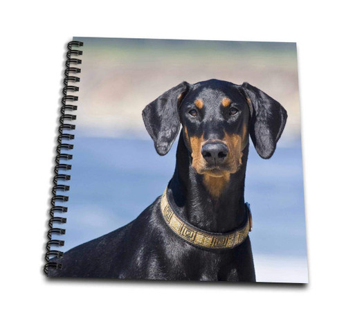 3dRose Portrait of a Doberman Pinscher Dog-Us05 Zmu0280-Zandria Muench Beraldo-Mini Notepad, 4 by 4" (db_142950_3)