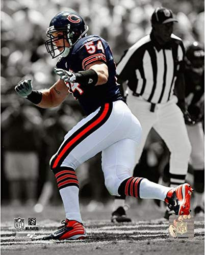 Brian Urlacher Chicago Bears Spotlight Action Photo (Size: 8" x 10")