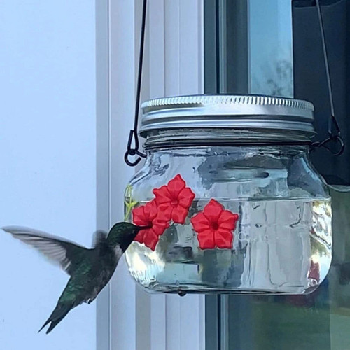 Duskweling Beautiful Mason Jar Hummingbird Feeder W/ Three Ports, 2023 Best Hummingbird Mason Jar Feeder, for Outdoor Hanging Mini Hummingbird Feeders Bird Lovers