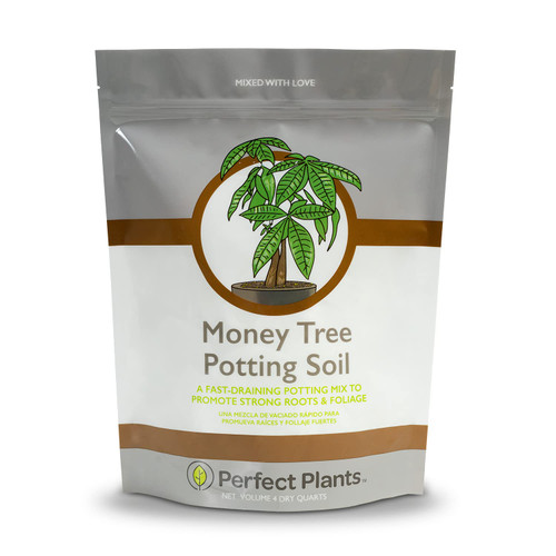 Perfect Plants Money Tree Potting Soil 4qt | Organic Coco Coir Based Plant Mix for Indoor Trees | Quickly Grow Your Indoor Forest