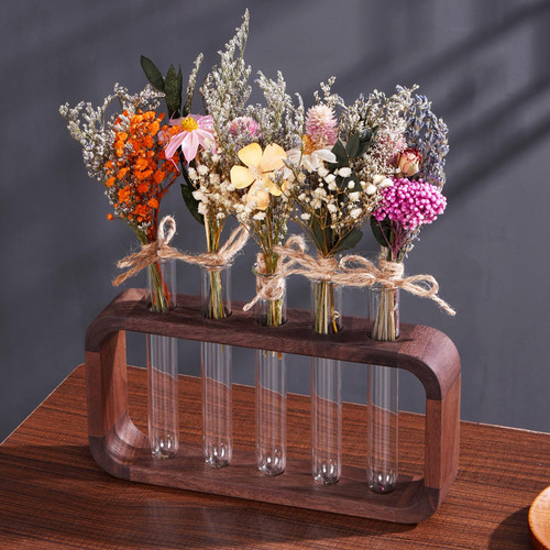 Plant Terrarium with 5 Glass Test Tubes Walnut Wooden Stand Planter Propagation Stations Flower Bud Vase Tabletop Glass Terrarium for Propagating Hydroponics Plants Home Office Decor Plant Terrarium with 5 Glass Test Tubes Walnut Wooden Stand Planter Propagation Stations Flower Bud Vase Tabletop Glass Terrarium for Propagating Hydroponics Plants Home Office Decor