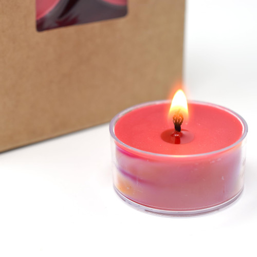 12 Pack - Soy Tealight Candles - Highly Scented - Made with Soy Wax - Handmade in The USA - Candeo Candle - Christmas, Winter, Holiday Scents (Christmas Variety Pack)