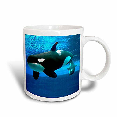 3dRose 5728_3 Killer Whales - Magic Transforming Mug 11 oz Multicolor