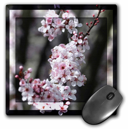 3dRose LLC 8 x 8 x 0.25 Inches Mouse Pad, Zen Cherry Blossom Flowers (mp_47255_1)
