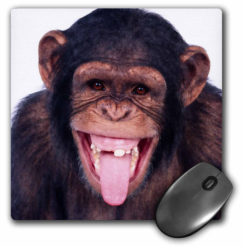 3dRose LLC 8 x 8 x 0.25 Inches Mouse Pad, Laughing Monkey (mp_23449_1)