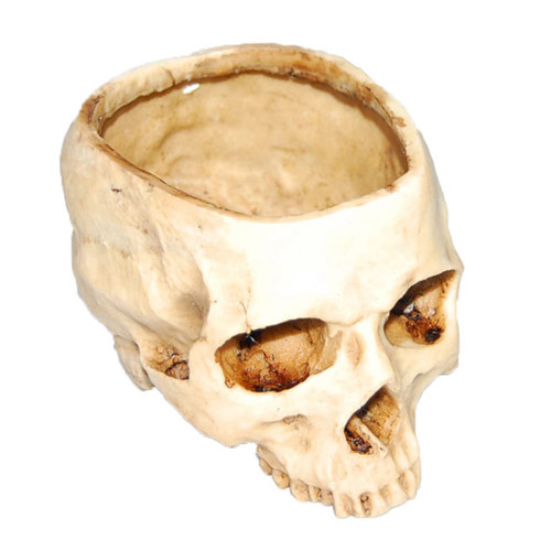1 * Halloween Skull Head PlanterHalloween Skull Head Planter Resin Flower Pot Multifunctional Skull Plant Pot Container