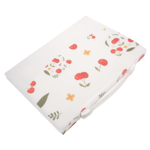 Hemoton Folder A4 Paper Organizer Document Organizer Document Holder Expanding File Organizer Receipt Holder Organizer Accordion File Organizer Receipt Organizer Pocket Pp Student Wallet