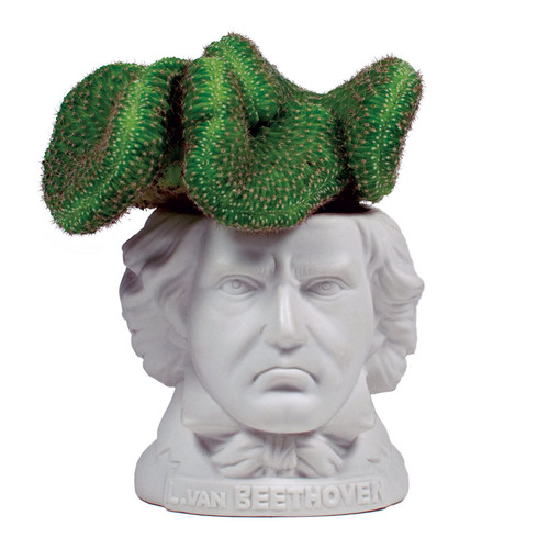 The Unemployed Philosophers Guild Ludwig Van Beethoven Bust Ceramic Planter