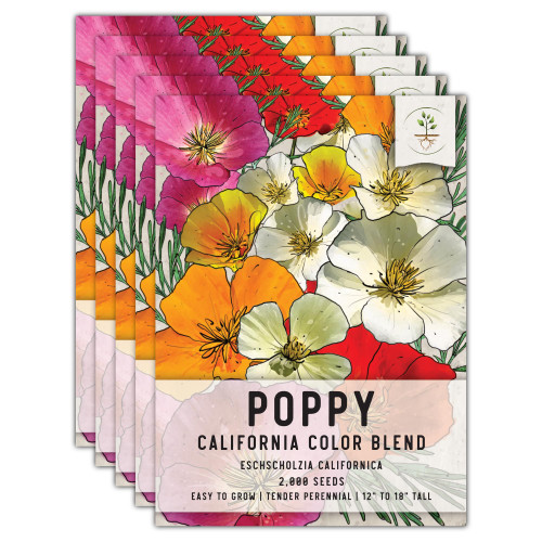 Seed Needs, California Poppy Seeds - 2,000 Heirloom Seeds for Planting Eschscholzia californica - Mixed Colors Attracts Butterflies, Bees & Other Pollinators (2 Packs)