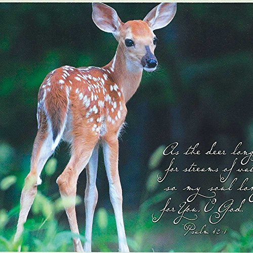 Dicksons Soul Longs For You, O God Alert Deer Luscious Green 10 x 8 Wood Wall Sign Plaque