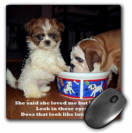3dRose LLC 8 x 8 x 0.25 Inches Mouse Pad, English Bulldog and Shih Tzu Puppy (mp_39568_1) 3dRose LLC 8 x 8 x 0.25 Inches Mouse Pad, English Bulldog and Shih Tzu Puppy (mp_39568_1)
