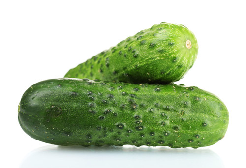 Spacemaster Cucumber Seeds - Heirloom Non-GMO USA Grown - Compact Bush Variety Produces 8" Cucumbers on Compact Vines Perfect for Small Spaces and Container Gardening - by RDR Seeds Spacemaster Cucumber Seeds - Heirloom Non-GMO USA Grown - Compact Bush Variety Produces 8" Cucumbers on Compact Vines Perfect for Small Spaces and Container Gardening - by RDR Seeds