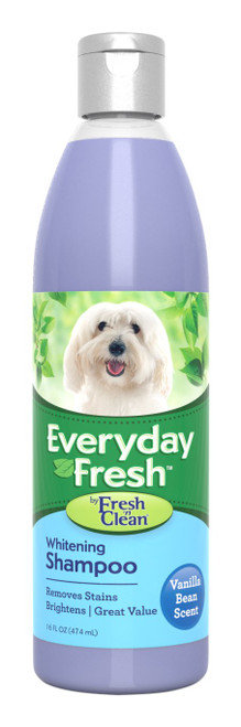 Fresh 'n Clean Everyday Fresh Whitening Shampoo, 16 oz