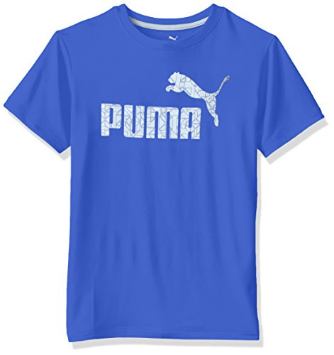 PUMA Big Boys' No.1 Logo Tee, Royal, 14-16 (Large)