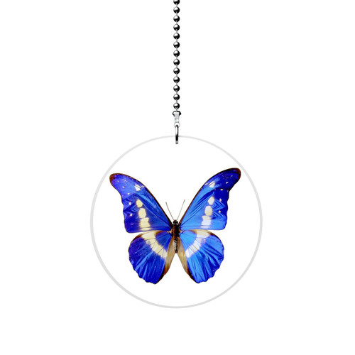 Blue Butterfly Fan/Light Pull