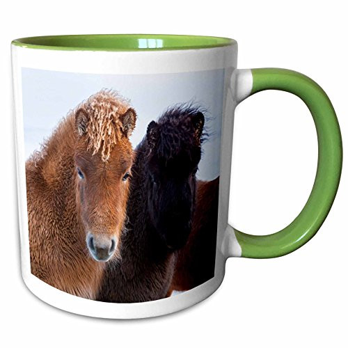 3dRose 207107_7 Icelandic Horse during winter with a typical winte Ceramic Mug Green/White