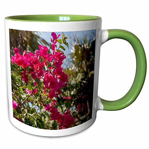 3dRose 134979_7 Palm flora, Grand Cayman, British West Indies - CA Ceramic Mug Green/White