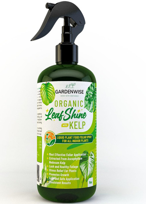 GARDENWISE Organic Leaf Shine Kelp Liquid Plant Food Spray: Nutrient Rich Formula, Safe and Easy, Versatile Usage for Fruit, Vegetables, and Houseplants. Ready to Use (8 OZ)