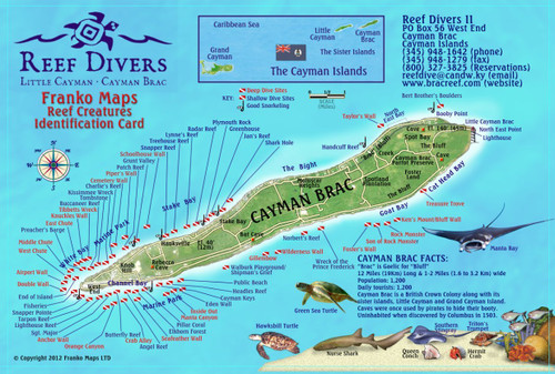 Cayman Brac Island Dive Map & Reef Creatures Guide Laminated Fish Card