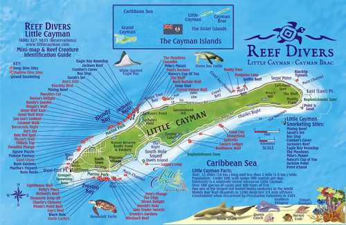 Little Cayman Island Dive Map & Reef Creatures Guide Laminated Fish Card