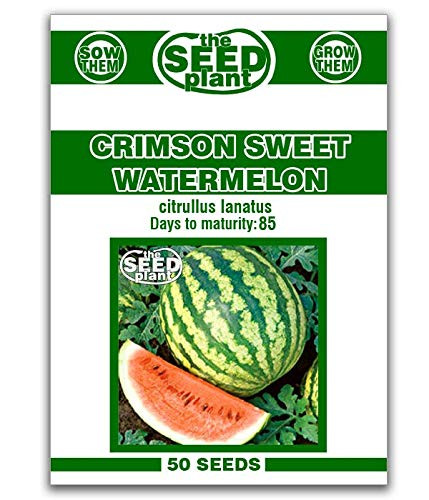 Crimson Sweet Watermelon Seeds - 50 Seeds Non-GMO