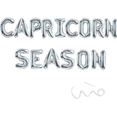 Capricorn Birthday Decorations,Capricorn Season Banner,Zodiac Birthday Banner, December January Horoscope Astrology Birthday Party Decorations,16inch,Silver