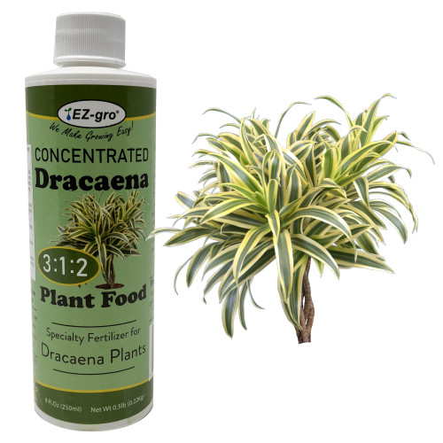 Professional Liquid Dracaena Fertilizer by EZ-gro | 3:1:2 Ratio of Concentrate Indoor Plant Fertilizer for Dracaena Indoor Plant | 8 oz