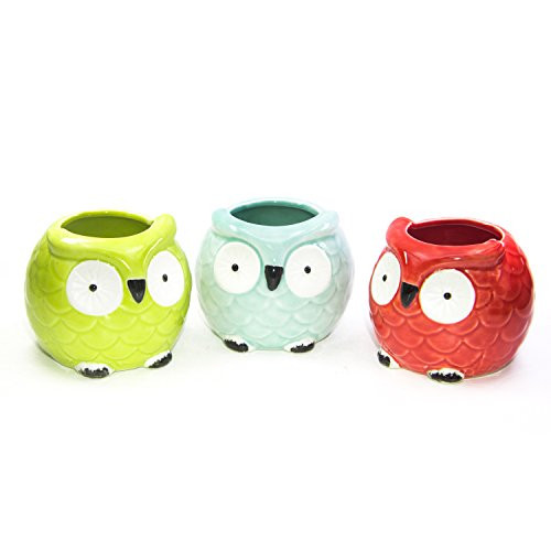 Goldblue 2.5 Inch Ceramic Flowing Glaze Owl Pattern Succulent Plant Pot Cactus Plant Pot Flower Pot (3, Color-C)