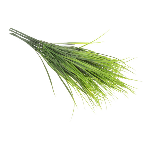 Didiseaon 4pcs Artificial Grass Artificial Fern Plants Bundles Fake Plants Fake Grass Decor Artificial Wheat Grass Artificial Onion Grass Bushes Greenery Shrub Plastic Fake Vegetables Didiseaon 4pcs Artificial Grass Artificial Fern Plants Bundles Fake Plants Fake Grass Decor Artificial Wheat Grass Artificial Onion Grass Bushes Greenery Shrub Plastic Fake Vegetables