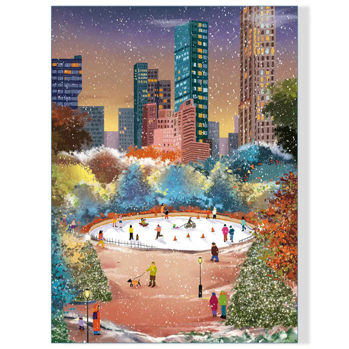 500 Piece Jigsaw Puzzle for Adults, Kids and Teens Gift Choice Central Park in Winter (Central Park)