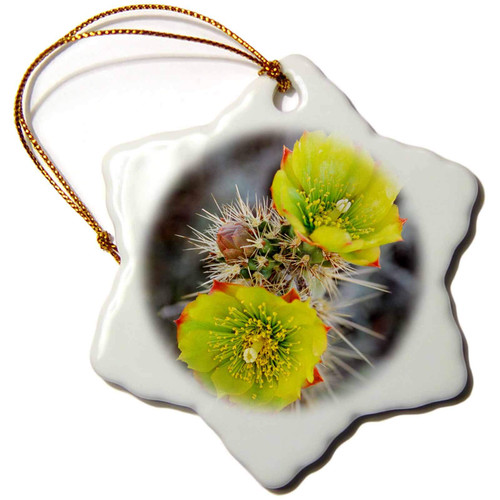 3dRose Teddy-Bear cholla in Bloom, Anza-Borrego Desert, California, USA - Ornaments (orn-258887-1) 3dRose Teddy-Bear cholla in Bloom, Anza-Borrego Desert, California, USA - Ornaments (orn-258887-1)