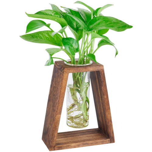 Mikiwon Plant Terrarium Desktop Glass Planter Test Tube Vase with Trapezoidal Retro Wooden Stand, Tabletop Propagation Station for Hydroponics Plants Home Office Wedding Decoration Mikiwon Plant Terrarium Desktop Glass Planter Test Tube Vase with Trapezoidal Retro Wooden Stand, Tabletop Propagation Station for Hydroponics Plants Home Office Wedding Decoration