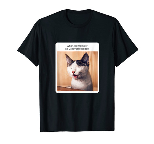 Funny Cat Meme When I Remember Volleyball Season T-Shirt Funny Cat Meme When I Remember Volleyball Season T-Shirt