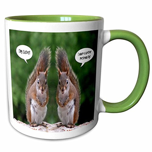 3dRose 20799_7 Red Squirrel Humor Ceramic Mug Green/White