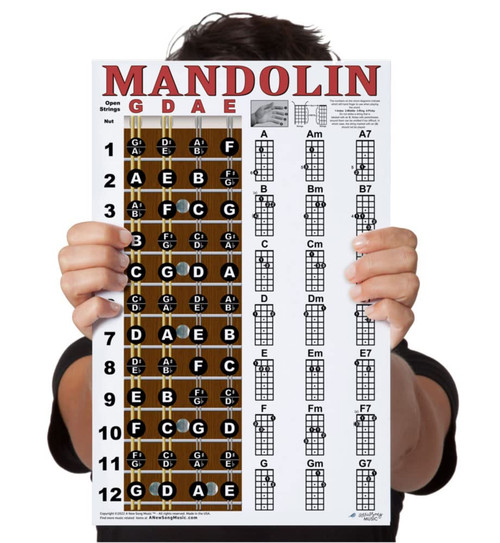 Laminated Mandolin Fretboard Notes & Easy Beginner Chord Chart 11"x17" Instructional Poster by A New Song Music