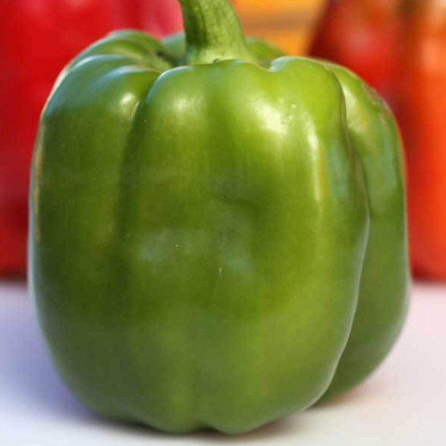 Emerald Giant Pepper Seeds - 250 mg ~30 Seeds - Non-GMO, Open Pollinated, Heirloom, Vegetable Gardening Seeds - Sweet Bell Pepper Emerald Giant Pepper Seeds - 250 mg ~30 Seeds - Non-GMO, Open Pollinated, Heirloom, Vegetable Gardening Seeds - Sweet Bell Pepper