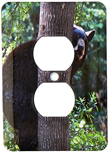 3dRose lsp_53649_6 A Black Bear in A Tree  2 Plug Outlet Cover
