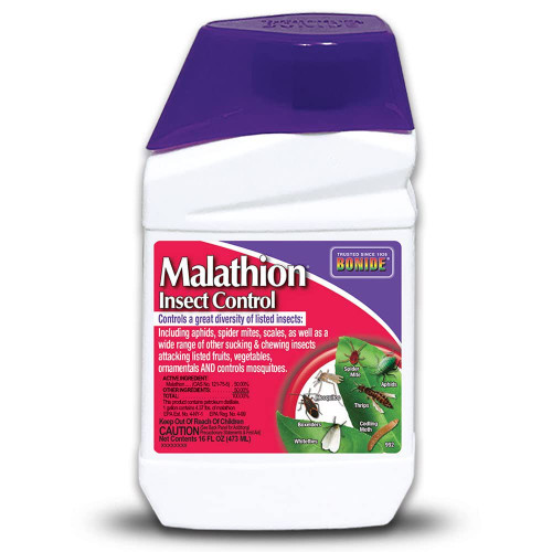 Bonide Malathion Insect Control, 16 oz Ready-to-Mix Concentrate Bug & Spider Mite Killer for Outdoor Garden Use Bonide Malathion Insect Control, 16 oz Ready-to-Mix Concentrate Bug & Spider Mite Killer for Outdoor Garden Use