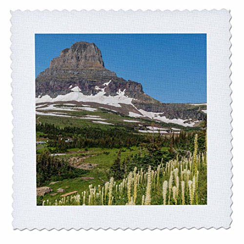 3D Rose Clements Mountain with Bear Grass Glacier National Park Square Quilt 6 x 6