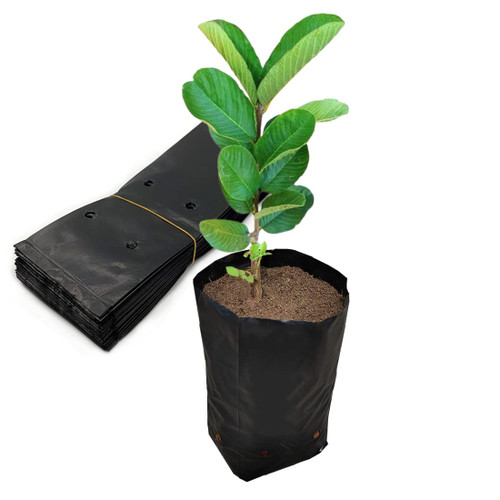Belit 100 Pcs Plant Nursery Bags, Plastic Seedling Pots Container for Fruit Tree, Flower, Starting saplings, Plant Grow(4.7"x7.3")
