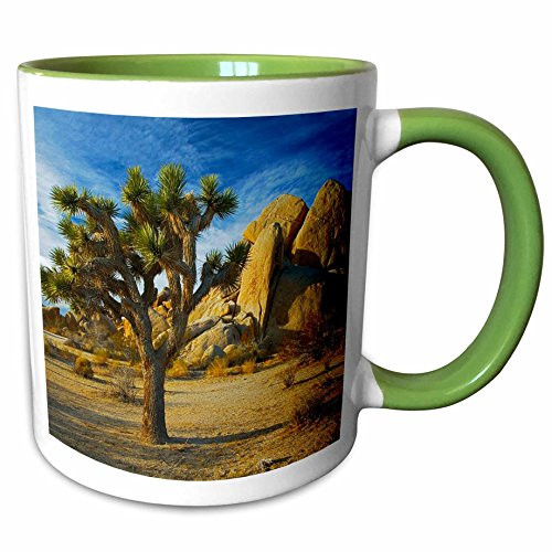 3dRose 189884_7 USA, California, Joshua Tree National Park, Jumbo Rocks, Green Mug 11 oz 3dRose 189884_7 USA, California, Joshua Tree National Park, Jumbo Rocks, Green Mug 11 oz
