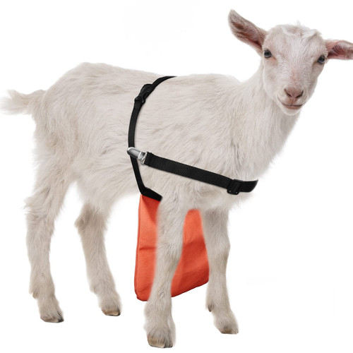 Kajaia Breeding Control Buck Goat Apron Goat Anti Mating Adjustable Orange Anti Mating Skirt Anti Breeding Sheep Goat Skirt with Adjustable Strap for Goats and Sheep (M)